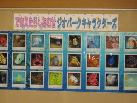 「鳥取の海」ＰＲ展示しています2
